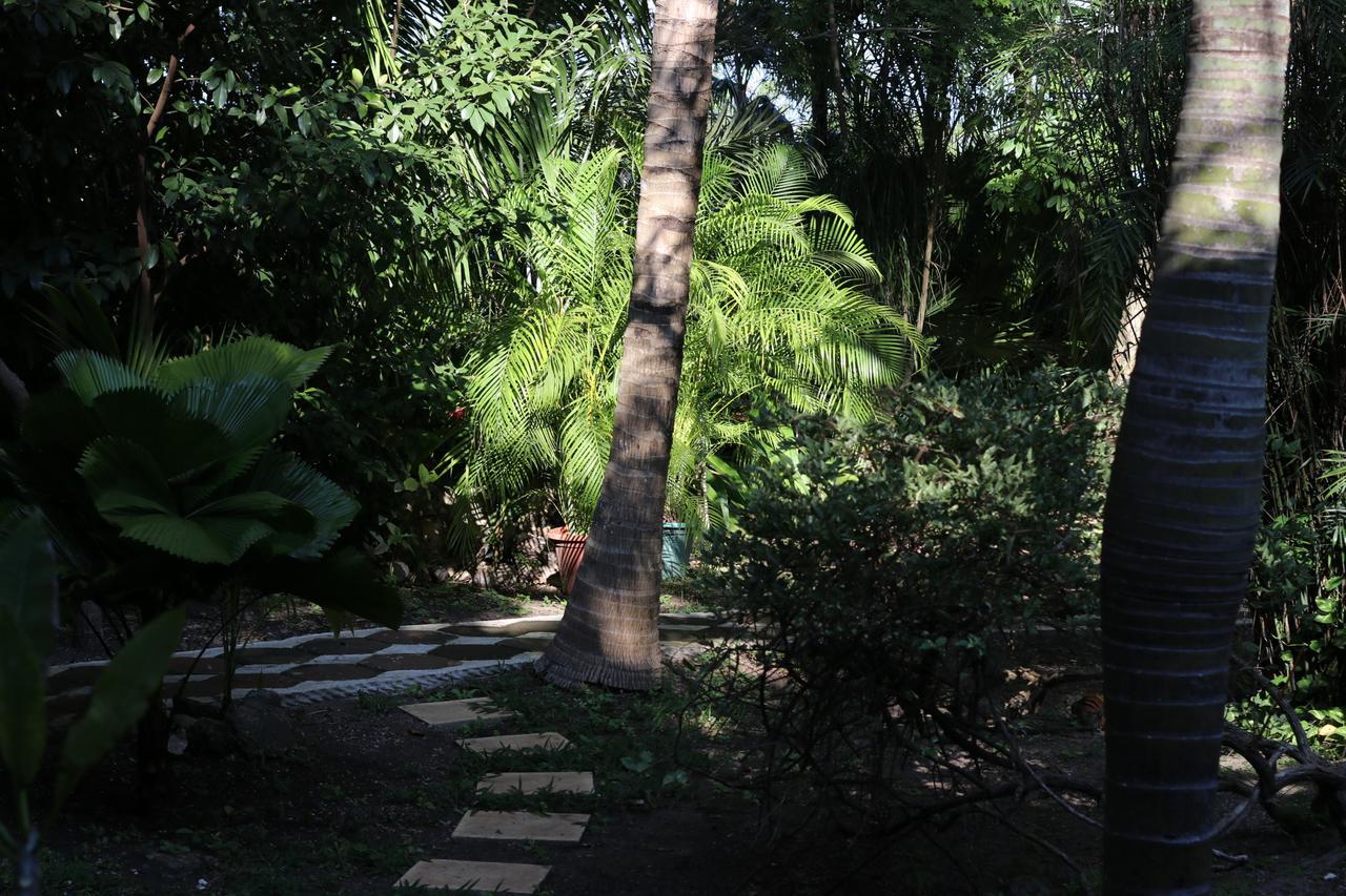 לינה וארוחת בוקר קנקון Casa Kin33 מראה חיצוני תמונה