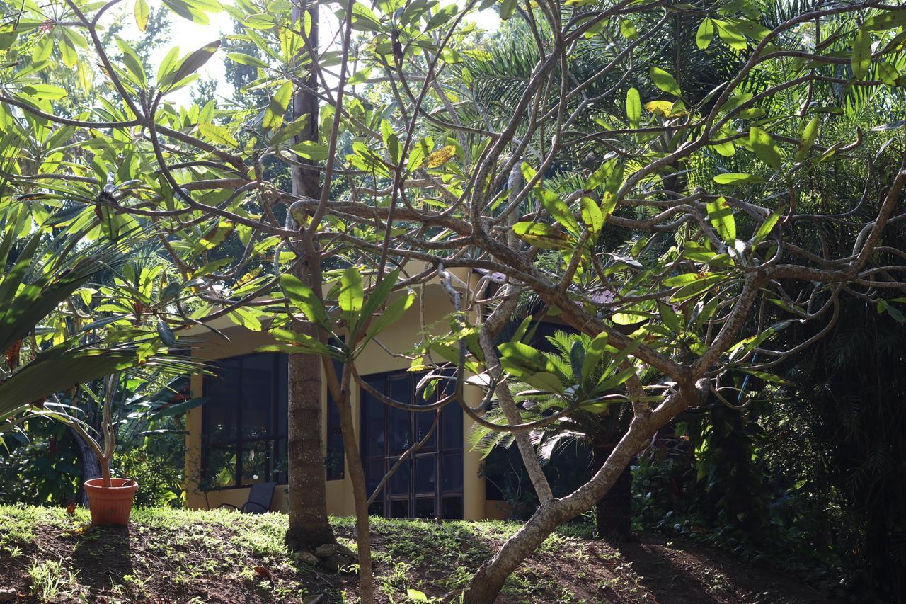 לינה וארוחת בוקר קנקון Casa Kin33 מראה חיצוני תמונה